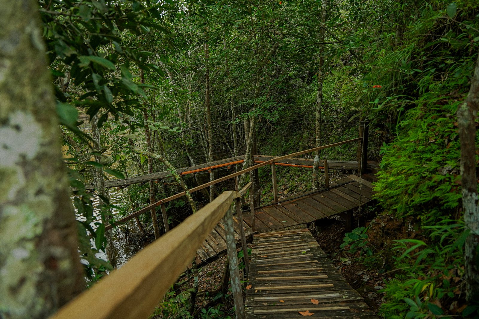 Trilha em família no Tangará EcoPark