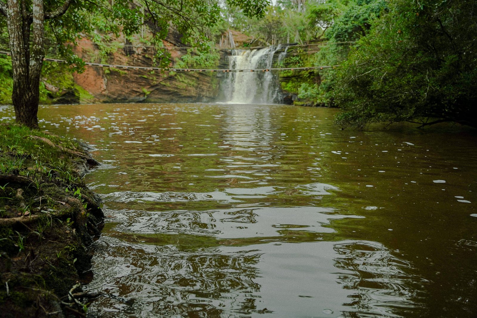 Paisagem do parque